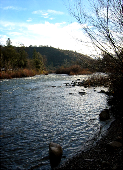 Freeport Element of the American River Use Strategy