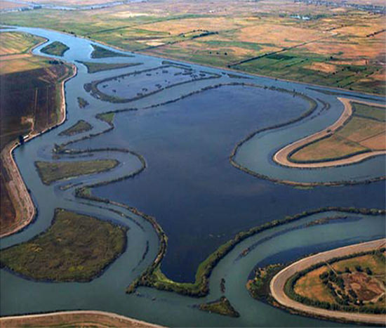 The San Joaquin Delta, lined with levees.