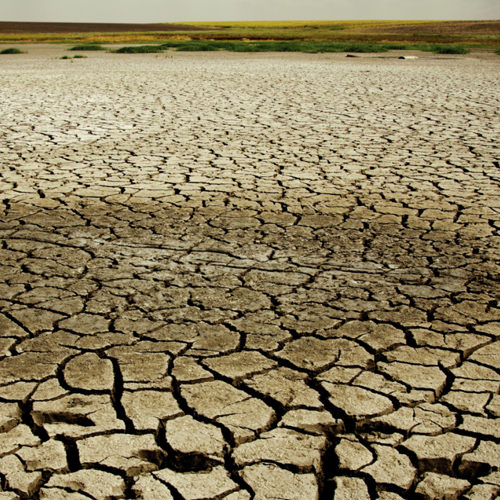 Drought News - Learn More