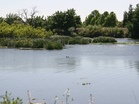 San Joaquin County Opposes the Development of a Peripheral Canal