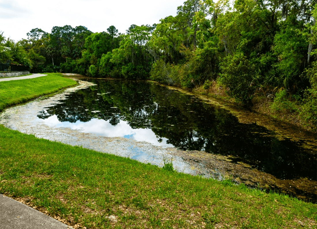 Rainwater harvesting